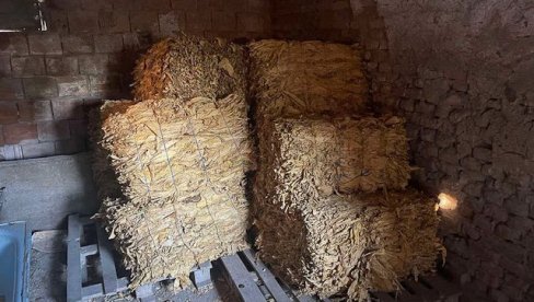 ZAPLENA DUVANA: Nišliji kod Vladičinog Hana oduzeto 250 kilograma ZAPLENA DUVANA: Nišliji kod Vladičinog Hana oduzeto 250 kilograma
