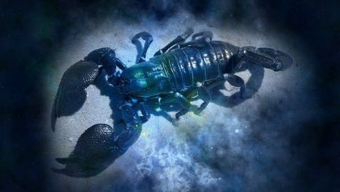 DNEVNI HOROSKOP ZA SUBOTU 3. FEBRUAR: Raka očekuje buran dan u ljubavi, Strelac rasejan, Vodolija da izbegava sklapanje važnih dogovora DNEVNI HOROSKOP ZA SUBOTU 3. FEBRUAR: Raka očekuje buran dan u ljubavi, Strelac rasejan, Vodolija da izbegava sklapanje važnih dogovora