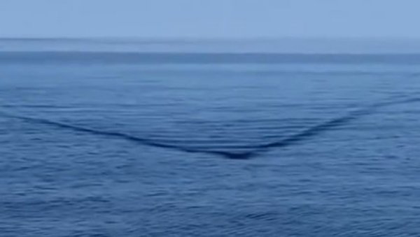 ПОГЛЕДАЈТЕ - ТАЛАС КАО ИЗ ФИЛМА АЈКУЛА: Морска неман је кренула право ка јахти (ВИДЕО) ПОГЛЕДАЈТЕ - ТАЛАС КАО ИЗ ФИЛМА АЈКУЛА: Морска неман је кренула право ка јахти (ВИДЕО)