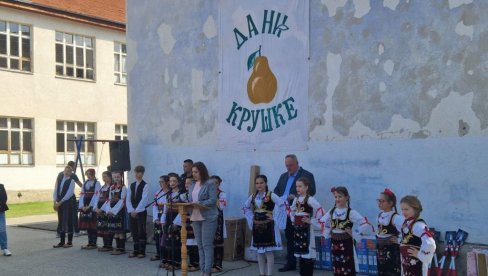 DANI KRUŠKE: Tradicionalna manifestacija održana u Vučju kod Leskovca DANI KRUŠKE: Tradicionalna manifestacija održana u Vučju kod Leskovca