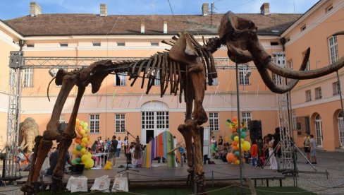 U KIKINDI SUTRA 17. MAMUTFEST: U programu za decu i lutkarska predstava o plivanju U KIKINDI SUTRA 17. MAMUTFEST: U programu za decu i lutkarska predstava o plivanju