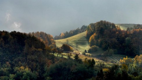 KRAĐA NA GOLIJI O KOJOJ SE PRIČA: Zadnje vreme je došlo - medvedi su manje štetočine od ljudi KRAĐA NA GOLIJI O KOJOJ SE PRIČA: Zadnje vreme je došlo - medvedi su manje štetočine od ljudi