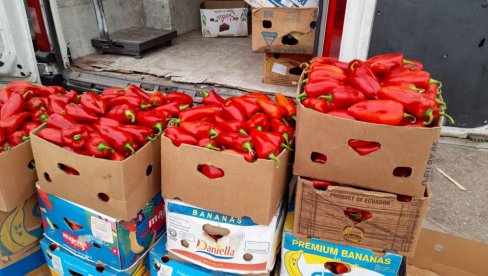 ZIMNICU VALJA STAVITI RANIJE: Visoke temperature ovog leta su u velikoj meri poremetile stanje na tržištu paprike (FOTO) ZIMNICU VALJA STAVITI RANIJE: Visoke temperature ovog leta su u velikoj meri poremetile stanje na tržištu paprike (FOTO)