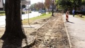 ZA VIŠE DVOTOČKAŠA NA ULICAMA: Grad Subotica obnavlja biciklističke staze ZA VIŠE DVOTOČKAŠA NA ULICAMA: Grad Subotica obnavlja biciklističke staze