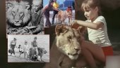 RUSI DRŽALI LAVA KAO KUĆNOG LJUBIMCA: Obožavali ga, postali poznati - ali priča ima krvav i TRAGIČAN kraj (VIDEO)