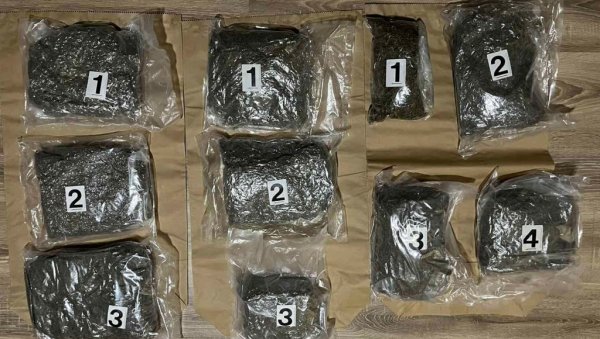ПАО ДИЛЕР У КРУШЕВЦУ: Полиција запленила девет килограма марихуане ПАО ДИЛЕР У КРУШЕВЦУ: Полиција запленила девет килограма марихуане