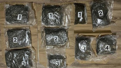 PAO DILER U KRUŠEVCU: Policija zaplenila devet kilograma marihuane PAO DILER U KRUŠEVCU: Policija zaplenila devet kilograma marihuane