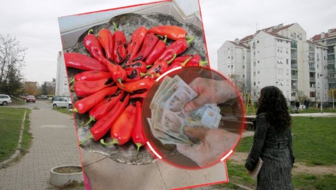 TRIK PARA VREDAN: Ogulite pečenu papriku - jednim potezom (VIDEO) TRIK PARA VREDAN: Ogulite pečenu papriku - jednim potezom (VIDEO)