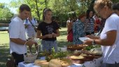 САЈАМ У СЛАВУ ПЛОДОВА ЈЕСЕНИ:Прва „Кртолијада“ са чувеним орјенским кромпиром (ФОТО) САЈАМ У СЛАВУ ПЛОДОВА ЈЕСЕНИ:Прва „Кртолијада“ са чувеним орјенским кромпиром (ФОТО)
