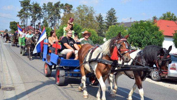 У БАТКОВИЋУ ПРВА ФИЈАКЕРИЈАДА: У сеоском парку Липик десетак јахача коња и 30 кочија из семберских и мајевичких места У БАТКОВИЋУ ПРВА ФИЈАКЕРИЈАДА: У сеоском парку Липик десетак јахача коња и 30 кочија из семберских и мајевичких места