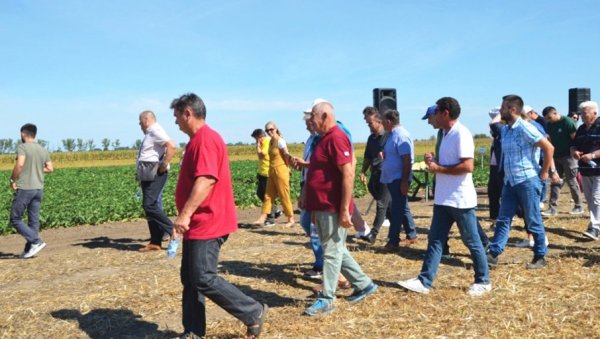 СЕПТЕМБАР У ЗНАКУ ПОЉОПРИВРЕДЕ: У Сомбору одржан Дан поља јесењих култура СЕПТЕМБАР У ЗНАКУ ПОЉОПРИВРЕДЕ: У Сомбору одржан Дан поља јесењих култура