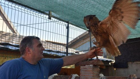VESELIN IMA NEOBIČNOG KUĆNOG LJUBIMCA: Gaji buljinu, najveću vrstu evropske sove i jednu od najvećih na svetu (FOTO/ VIDEO) VESELIN IMA NEOBIČNOG KUĆNOG LJUBIMCA: Gaji buljinu, najveću vrstu evropske sove i jednu od najvećih na svetu (FOTO/ VIDEO)