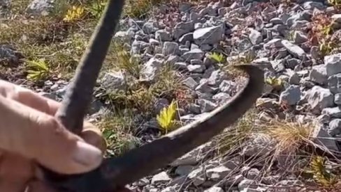 KASAPILI DIVOKOZE GORE NEGO ZVERI: Nezapamćeni pohod krivolovaca na Lukavici, između Kolašina i Nikšića KASAPILI DIVOKOZE GORE NEGO ZVERI: Nezapamćeni pohod krivolovaca na Lukavici, između Kolašina i Nikšića