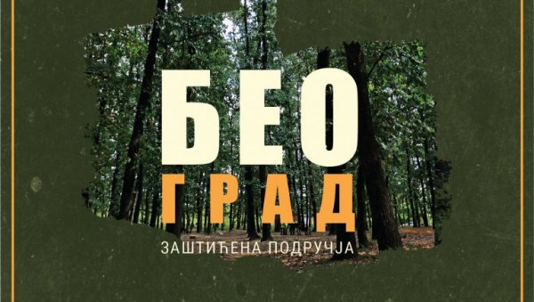 ВИЛИНСКА ЕНЕРГИЈА ДРВЕЋА: У Галерији Сигидуним видео радови Кристине Влаисављевић ВИЛИНСКА ЕНЕРГИЈА ДРВЕЋА: У Галерији Сигидуним видео радови Кристине Влаисављевић