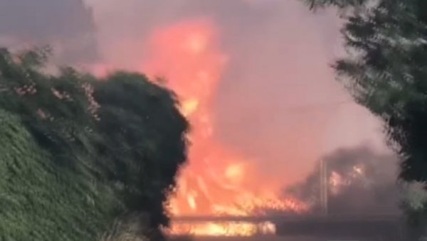 ЉУДИ ПРОВЕЛИ БЕСАНУ НОЋ НА КРОВОВИМА КУЋА: Велики шумски пожар у Италији се шири, школе затворене ЉУДИ ПРОВЕЛИ БЕСАНУ НОЋ НА КРОВОВИМА КУЋА: Велики шумски пожар у Италији се шири, школе затворене