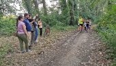 СЕЧА ТОПОЛА САМО ОДЛОЖЕНА: Куљани наставили да бране шуму