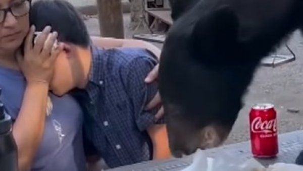 БЛИЗАК СУСРЕТ СА МЕДВЕДОМ НА ПИКНИКУ: Попео се на сто и почео да једе њихову храну (ВИДЕО) БЛИЗАК СУСРЕТ СА МЕДВЕДОМ НА ПИКНИКУ: Попео се на сто и почео да једе њихову храну (ВИДЕО)