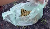 УХАПШЕН СА 440 ГРАМА МАРИХУАНЕ: Неовлашћено држање опојних дрога УХАПШЕН СА 440 ГРАМА МАРИХУАНЕ: Неовлашћено држање опојних дрога