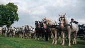 КОЊИЧКИ САБОР У СВИЛАЈНЦУ: Од изложбе, јахања, до вожње фијакера и штрапацијаде (ФОТО) КОЊИЧКИ САБОР У СВИЛАЈНЦУ: Од изложбе, јахања, до вожње фијакера и штрапацијаде (ФОТО)
