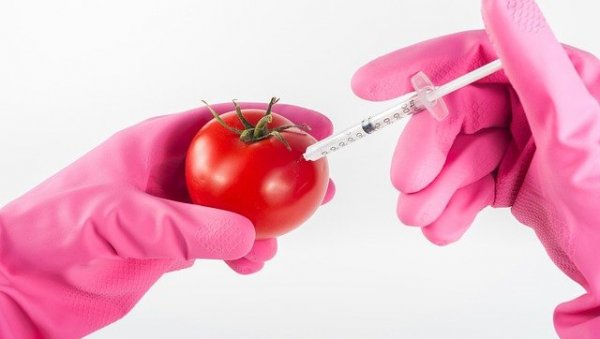 ГРАДСКИ СЕКРЕТАРИЈАТ НИЈЕ САСТАВЉАО ЛИСТУ ГМО ПРОИЗВОДА: Друштвеним мрежама круже лажне информације ГРАДСКИ СЕКРЕТАРИЈАТ НИЈЕ САСТАВЉАО ЛИСТУ ГМО ПРОИЗВОДА: Друштвеним мрежама круже лажне информације