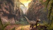 ŠTA SU NAUČNICI OTKRILI U TRAGOVIMA DINOSAURUSA: Kakva je bila klima na Zemlji pre 100 miliona godina?