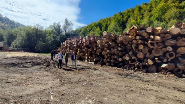 АБАЗОВИЋ ОБЈАВИО РАТ ШУМАРСКОЈ МАФИЈИ: Шумокрадице држави отеле милијарду АБАЗОВИЋ ОБЈАВИО РАТ ШУМАРСКОЈ МАФИЈИ: Шумокрадице држави отеле милијарду