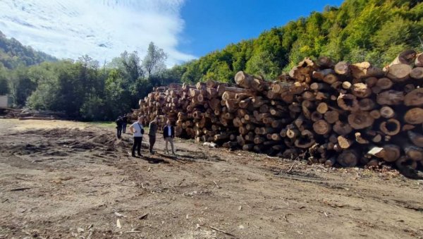 АБАЗОВИЋ ОБЈАВИО РАТ ШУМАРСКОЈ МАФИЈИ: Шумокрадице држави отеле милијарду