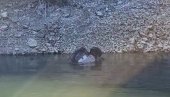 НА СРЕЋУ НИКО НИЈЕ СТРАДАО: Аутомобил слетео у Златарско језеро (ВИДЕО) НА СРЕЋУ НИКО НИЈЕ СТРАДАО: Аутомобил слетео у Златарско језеро (ВИДЕО)