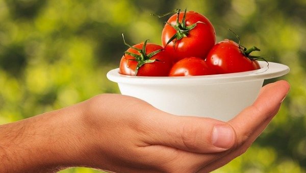 ИМАЈУ И СВОЈА НЕЖЕЉЕНА ДЕЈСТВА: Да ли су парадајз, диња и лубеница здрава храна ИМАЈУ И СВОЈА НЕЖЕЉЕНА ДЕЈСТВА: Да ли су парадајз, диња и лубеница здрава храна