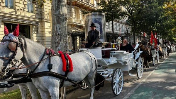 СРПСКИ ПАОРИ У БЕЧКИМ ФИЈАКЕРИМА: Необична колона украшена заставама Србије кретала се центом аустријске престонице СРПСКИ ПАОРИ У БЕЧКИМ ФИЈАКЕРИМА: Необична колона украшена заставама Србије кретала се центом аустријске престонице