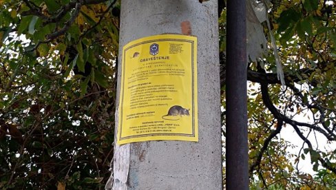 U Požarevcu počela jesenja deratizacija U Požarevcu počela jesenja deratizacija