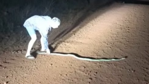 ŠTA MU JE TO TREBALO? Vukao je zmiju za rep - završetak snimka je jeziv (VIDEO) ŠTA MU JE TO TREBALO? Vukao je zmiju za rep - završetak snimka je jeziv (VIDEO)