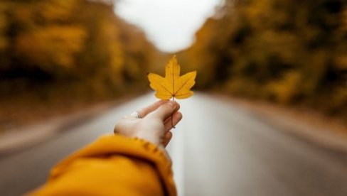 OČEKUJE SE TOPLA JESEN: RHMZ najavljuje temperature iznad prosečnih vrednosti OČEKUJE SE TOPLA JESEN: RHMZ najavljuje temperature iznad prosečnih vrednosti