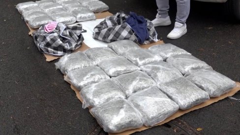 PALI SA VIŠE OD 100 KILOGRAMA MARIHUANE: Veliko hapšenje na Novom Beogradu (FOTO) PALI SA VIŠE OD 100 KILOGRAMA MARIHUANE: Veliko hapšenje na Novom Beogradu (FOTO)