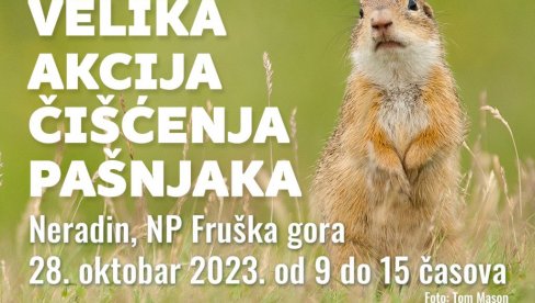 POMOĆ UGROŽENIM TEKUNICAMA: DZPPS i NP „Frruška gora“ 28. oktobra organizuju čišćenje zaraslih pašnjaka kod Neradina POMOĆ UGROŽENIM TEKUNICAMA: DZPPS i NP „Frruška gora“ 28. oktobra organizuju čišćenje zaraslih pašnjaka kod Neradina
