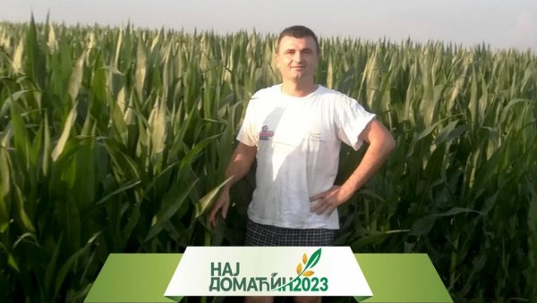 СИНИША БЕРАР СЕЈЕ ЖИТАРИЦЕ НА 50 ХЕКТАРА У МЕЛЕНЦИМА: Представљамо кандидате за Најдомаћина 2023 (ФОТО) СИНИША БЕРАР СЕЈЕ ЖИТАРИЦЕ НА 50 ХЕКТАРА У МЕЛЕНЦИМА: Представљамо кандидате за Најдомаћина 2023 (ФОТО)