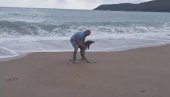 JAK JUGO I TALASI ODVOJILI DELFINA OD MAJKE: Mladunče sa plaže vraćeno u more JAK JUGO I TALASI ODVOJILI DELFINA OD MAJKE: Mladunče sa plaže vraćeno u more