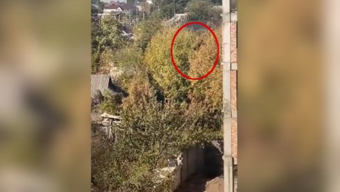 UZNEMIRUJUćE: Pas skočio sa petog sprata, pa odšetao kao da ništa nije bilo (VIDEO) UZNEMIRUJUćE: Pas skočio sa petog sprata, pa odšetao kao da ništa nije bilo (VIDEO)