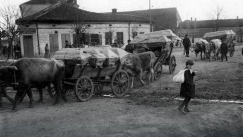 TRAGIČNE POBEDE I BRATSKI ZLOČINI: Veliki rat, vreme apokaliptičnog stradanja srpskog naroda (1) TRAGIČNE POBEDE I BRATSKI ZLOČINI: Veliki rat, vreme apokaliptičnog stradanja srpskog naroda (1)