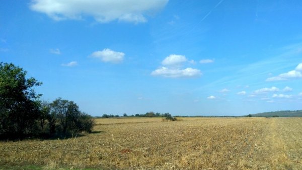 РАСПИСАЛИ ОГЛАС: Град Пожаревац даје у закуп 418 пољопривредних парцела РАСПИСАЛИ ОГЛАС: Град Пожаревац даје у закуп 418 пољопривредних парцела