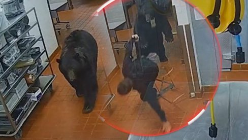 ZASTRAŠUJUĆI SNIMAK: Medved zalutao u hotel, napao čoveka (VIDEO) ZASTRAŠUJUĆI SNIMAK: Medved zalutao u hotel, napao čoveka (VIDEO)
