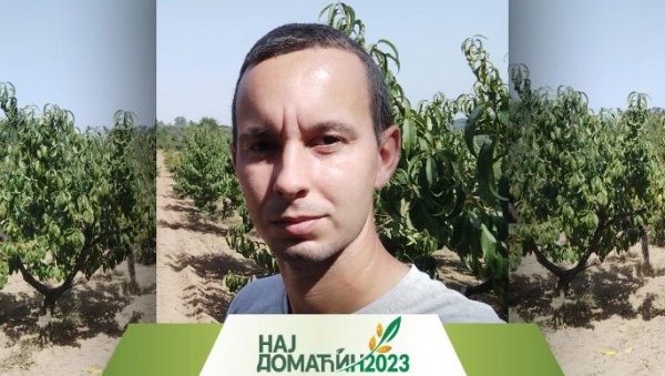 КАД ВОЋКЕ РОДЕ, БЕРУ СЕ ОД ЈУТРА ДО МРАКА: Станковићи праве ракију од мушмуле КАД ВОЋКЕ РОДЕ, БЕРУ СЕ ОД ЈУТРА ДО МРАКА: Станковићи праве ракију од мушмуле