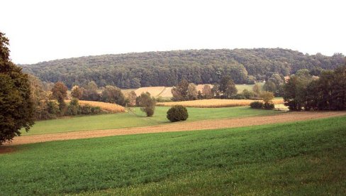 PROTERANO 4.000 LJUDI, NAJMANJE 65 UBIJENO: Trideset dve godine od paravojne akcije Otkos-10 u istočnoj Bilogori PROTERANO 4.000 LJUDI, NAJMANJE 65 UBIJENO: Trideset dve godine od paravojne akcije Otkos-10 u istočnoj Bilogori
