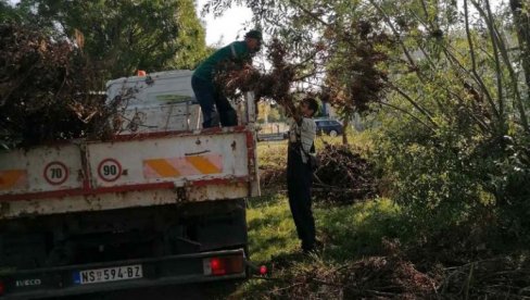 OBNOVA PRED ZIMSKI SAN: Ozelenjavanje Novog Sada posle štete nastale u udarima superćelijske oluje OBNOVA PRED ZIMSKI SAN: Ozelenjavanje Novog Sada posle štete nastale u udarima superćelijske oluje