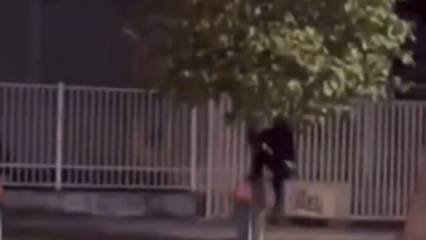 НОВОСАЂАНИ У НЕВЕРИЦИ ПОСМАТРАЛИ ПРИЗОР: Мушкарац снимљен како имитира шимпанзу и пење се на дрво (ВИДЕО) НОВОСАЂАНИ У НЕВЕРИЦИ ПОСМАТРАЛИ ПРИЗОР: Мушкарац снимљен како имитира шимпанзу и пење се на дрво (ВИДЕО)