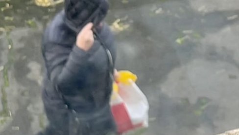 PREKO DVESTA NA SAT: Olujni vetar u Francuskoj ruši sve pred sobom PREKO DVESTA NA SAT: Olujni vetar u Francuskoj ruši sve pred sobom