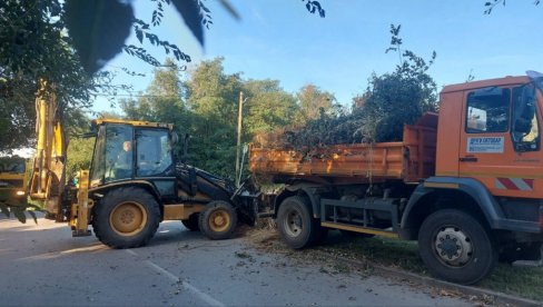 OČISTILI VRŠAC OD KABASTOG I ZELENOG OTPADA: Uspešna akcija „Oktobar mesec čistoće“, odneto preko 100 tona smeća