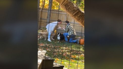 MLADIĆ KLEKNUO DA ISPROSI DEVOJKU, A ONDA SE POJAVIO ON: Snimak postao hit na društvenim mrežama (VIDEO) MLADIĆ KLEKNUO DA ISPROSI DEVOJKU, A ONDA SE POJAVIO ON: Snimak postao hit na društvenim mrežama (VIDEO)
