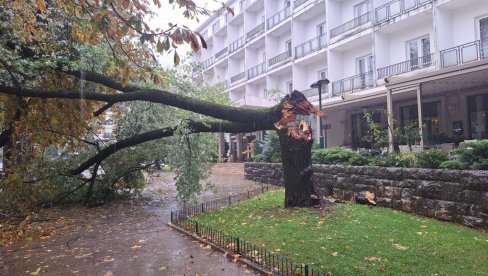 TROBOJKA JAČA OD OLUJE: Nevreme u Crnoj Gori, u Nikšiću jak vetar slomio staru topolu (FOTO) TROBOJKA JAČA OD OLUJE: Nevreme u Crnoj Gori, u Nikšiću jak vetar slomio staru topolu (FOTO)