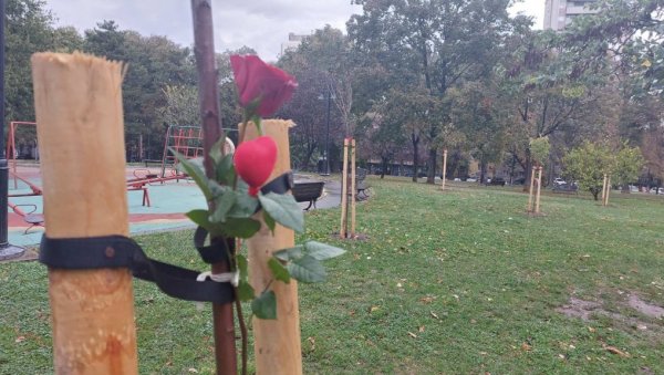 ШЕСТ МЕСЕЦИ ОД ЗЛОЧИНА У РИБНИКАРУ: Засађено дрво, пуштени балони у знак сећања на убијене (ФОТО) ШЕСТ МЕСЕЦИ ОД ЗЛОЧИНА У РИБНИКАРУ: Засађено дрво, пуштени балони у знак сећања на убијене (ФОТО)